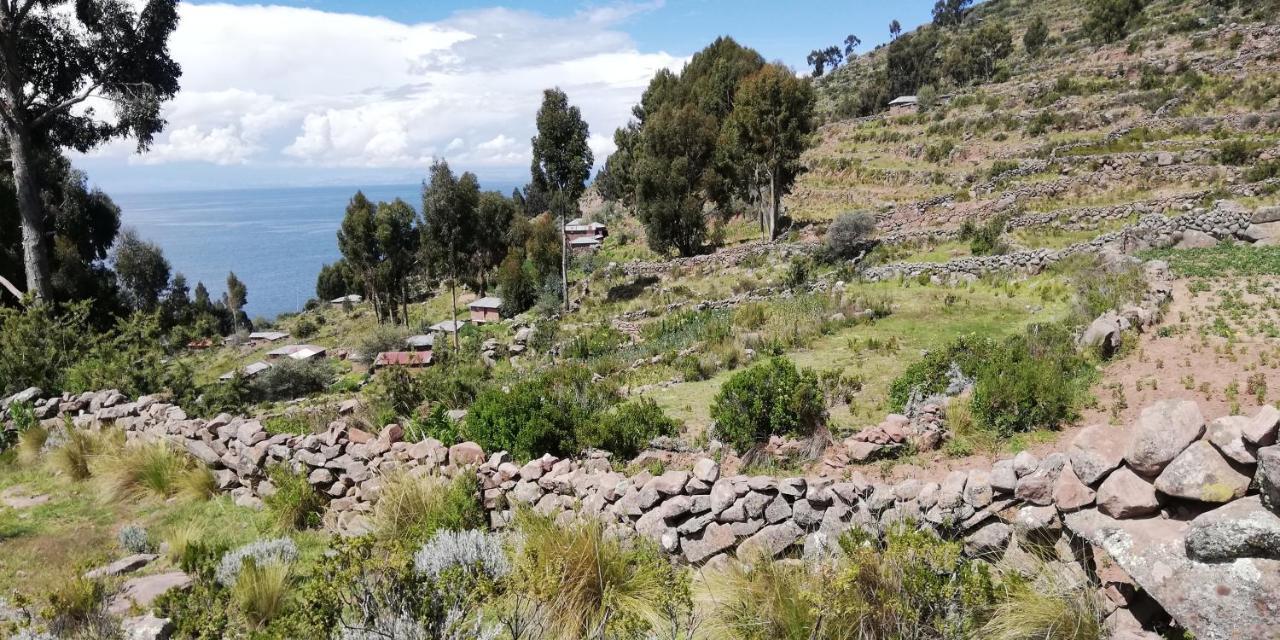 Taquile Hospedaje Mario Huillanopampa Eksteriør bilde